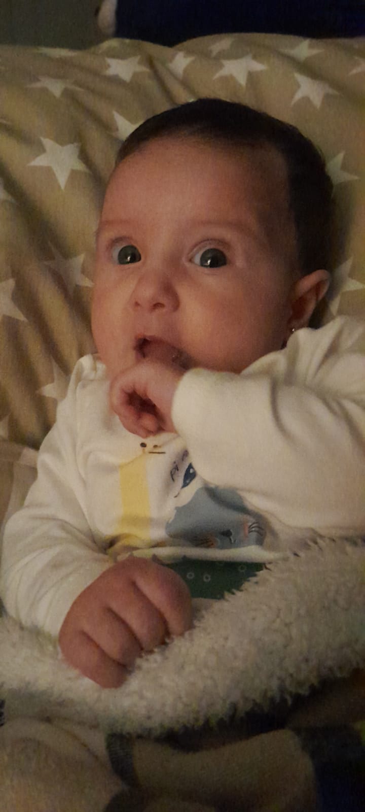 WhatsApp Image 2024-10-18 at 00.05.39.jpeg